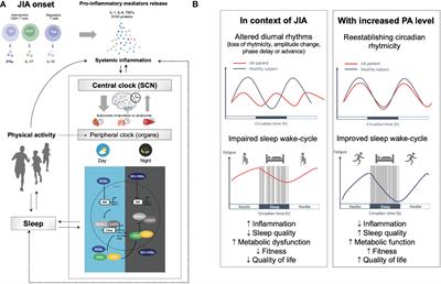 Physical activity as a promising alternative for young people with juvenile idiopathic arthritis: Towards an evidence-based prescription